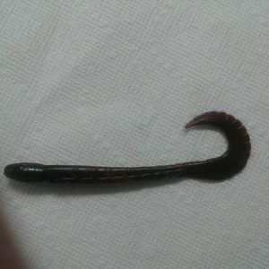 Meet your Posher, Kirk